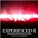 Boom Boom Satellites - Experienced II: Embrace Tour 2013 Budokan